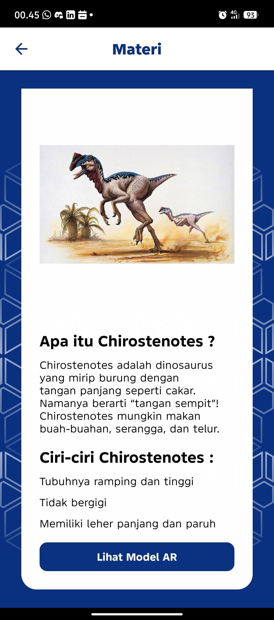portfolio-image